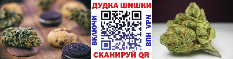 купить наркотики сайты  Кыштым  Cannafood марихуана 