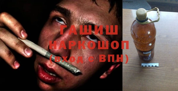 индика Лабытнанги