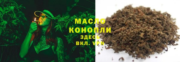 индика Лабытнанги