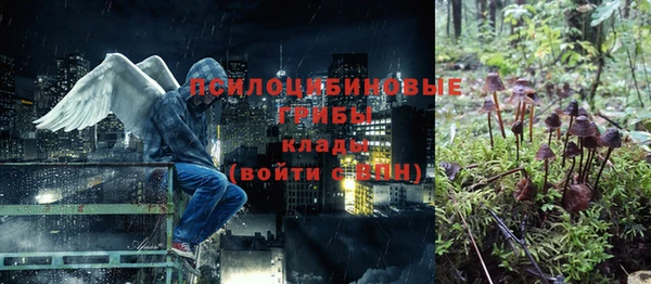 марки nbome Ладушкин