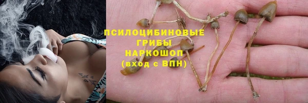 apvp Лагань