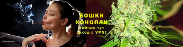 PSILOCYBIN Анива