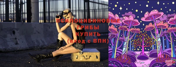индика Лабытнанги