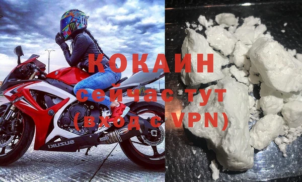 индика Лабытнанги