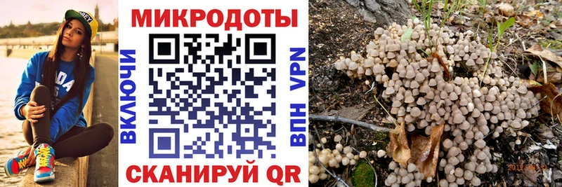 Псилоцибиновые грибы MAGIC MUSHROOMS дарнет шоп Кыштым