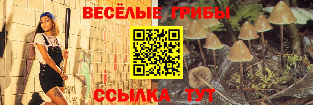Кыштым  купить   Вход с VPN  Псилоцибиновые грибы мицелий 