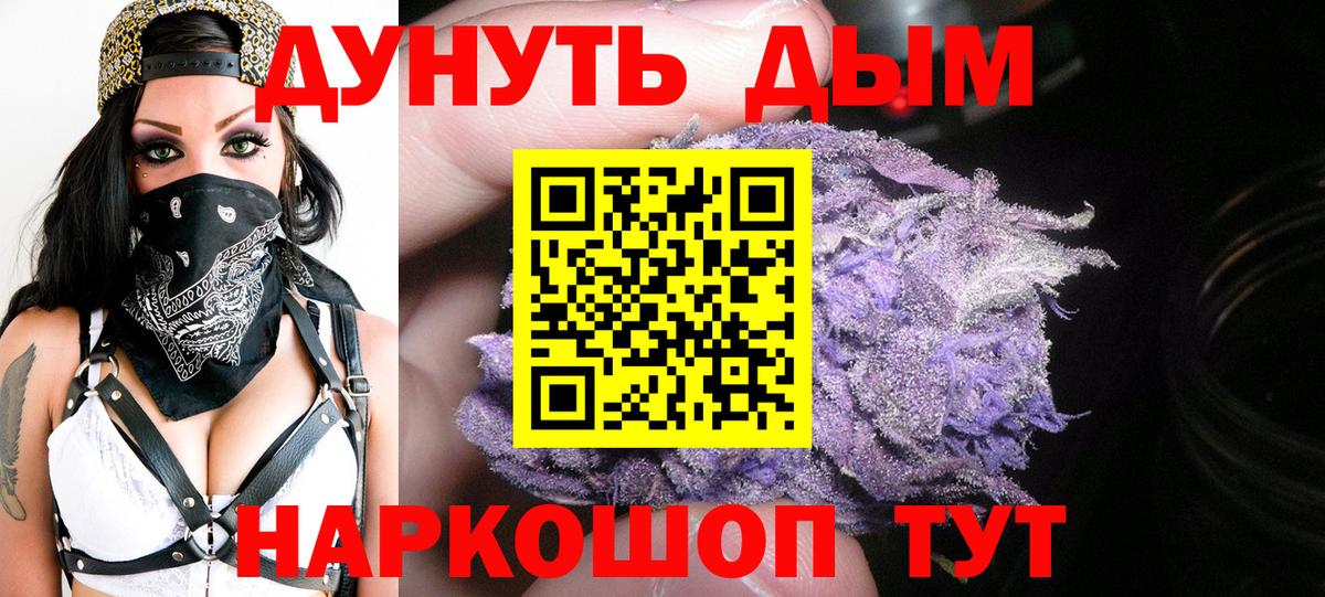 Конопля гибрид Кыштым